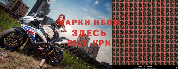 apvp Алзамай