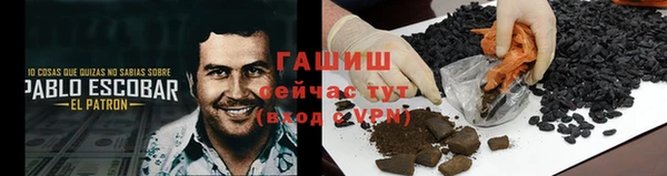 apvp Алзамай