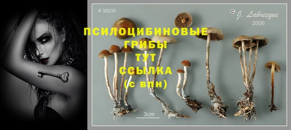 сатива Алексин