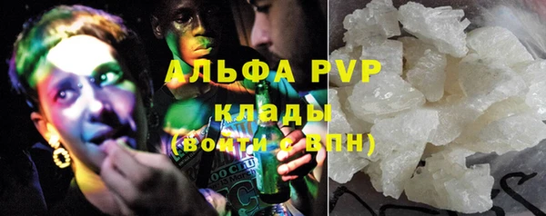 сатива Алексин