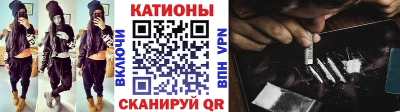 МЯУ-МЯУ мяу мяу  Владимир 