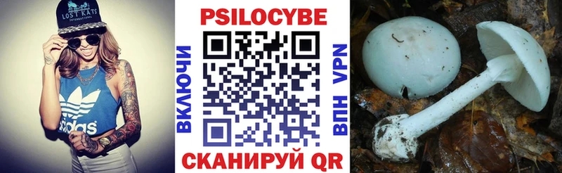 цены наркотик  Владимир  Псилоцибиновые грибы мухоморы 